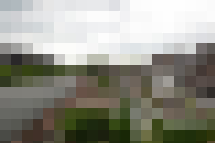 Image 25