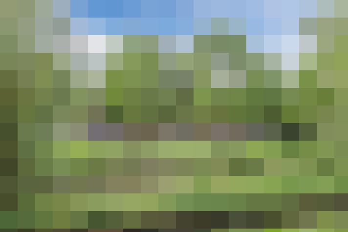  / #64
