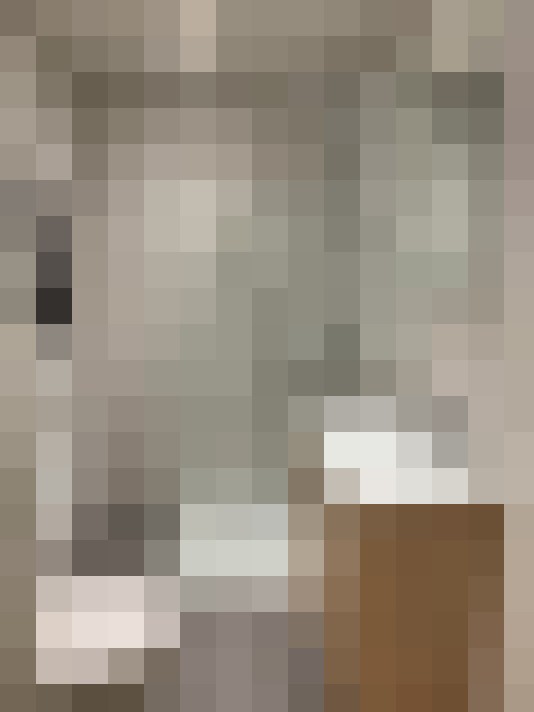  / #21