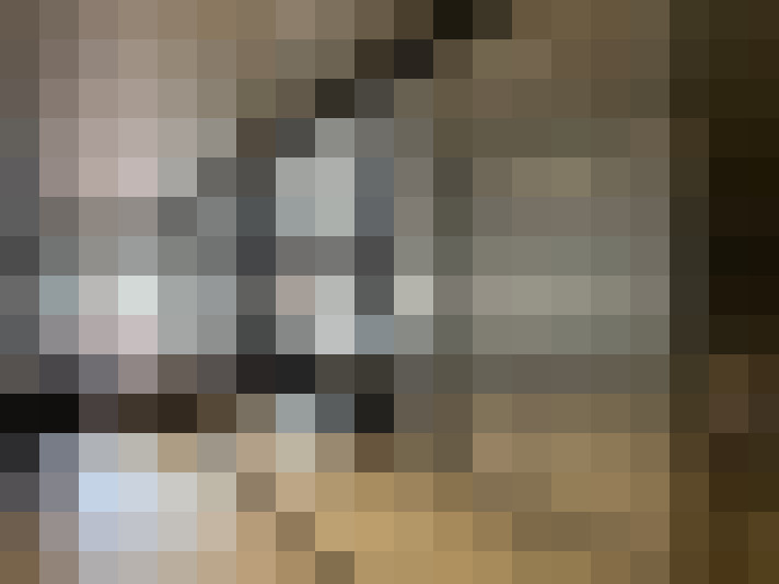  / #8