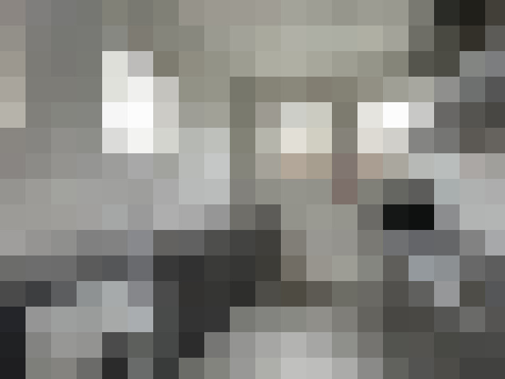  / #14