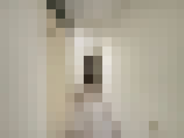  / #6