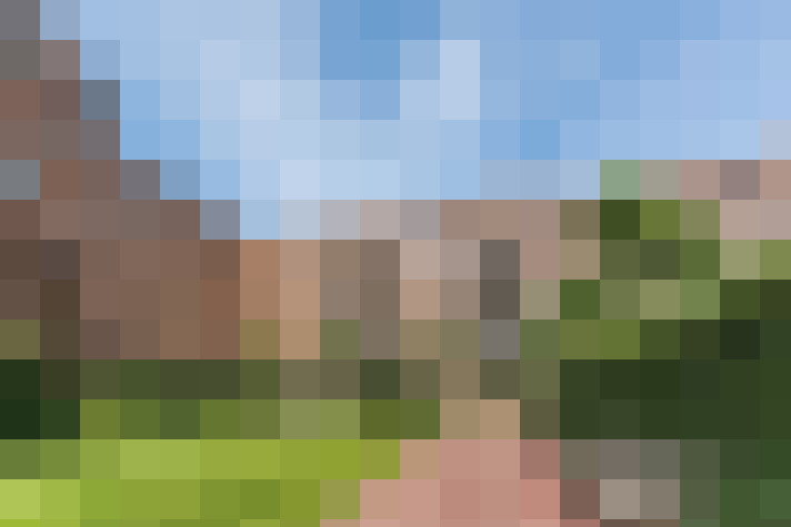  / #63