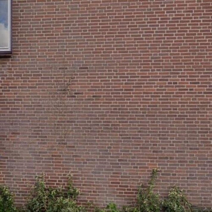 Bekijk foto 1/1 van house in Almelo