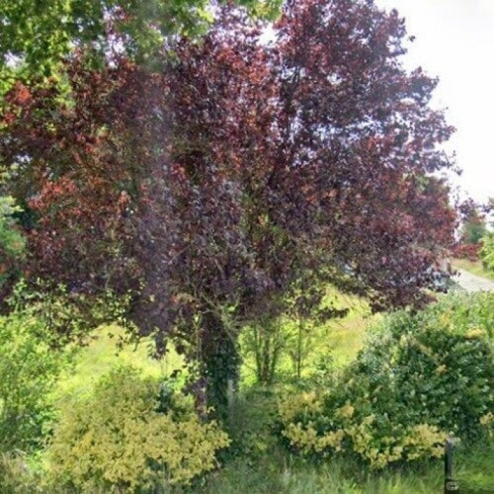 Bekijk foto 1/1 van house in Hoogeveen