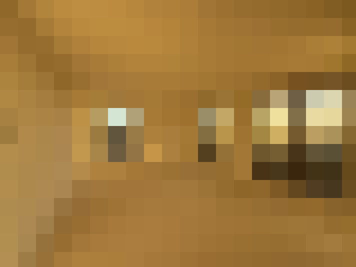  / #11