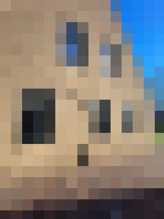  / #8