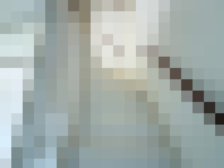  / #13