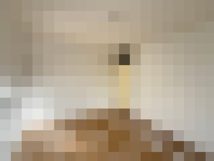  / #15