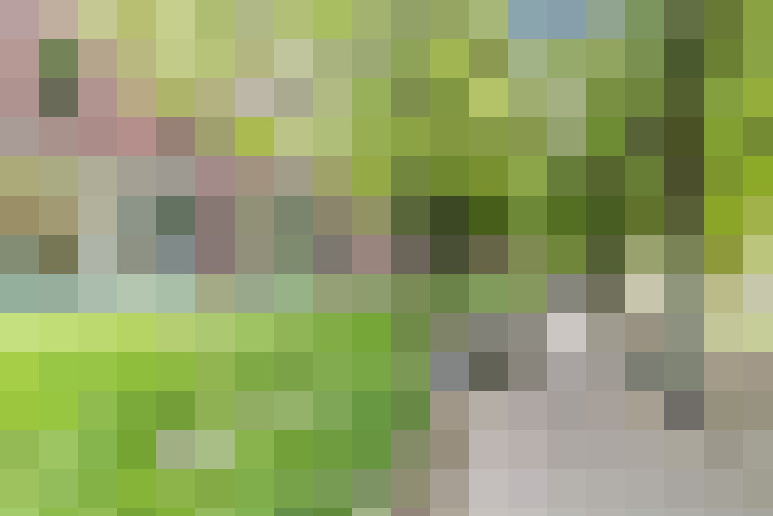  / #61
