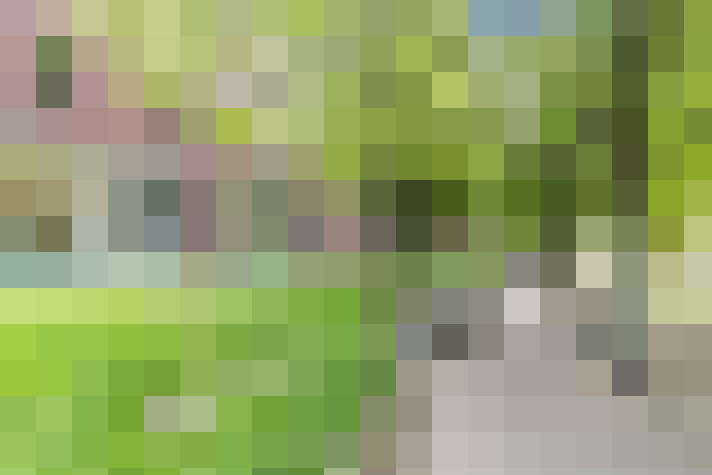  / #62