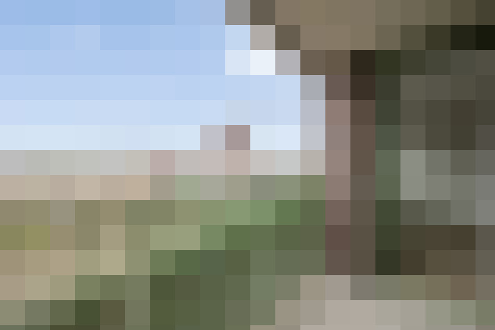  / #31