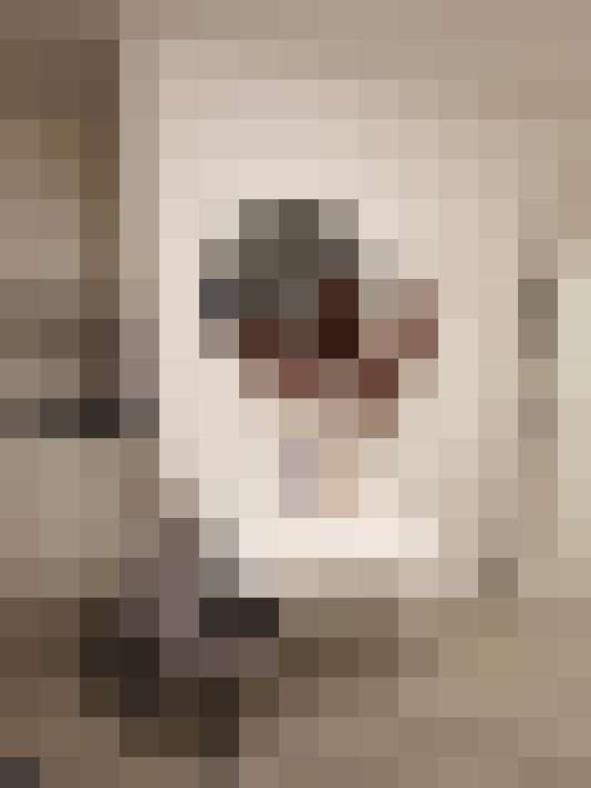  / #12