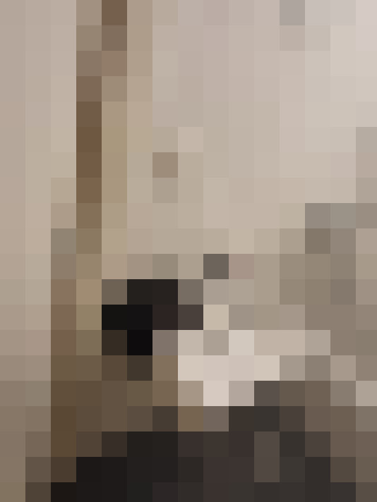 / #19