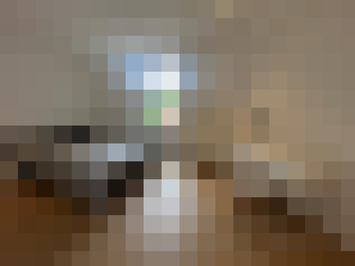  / #6