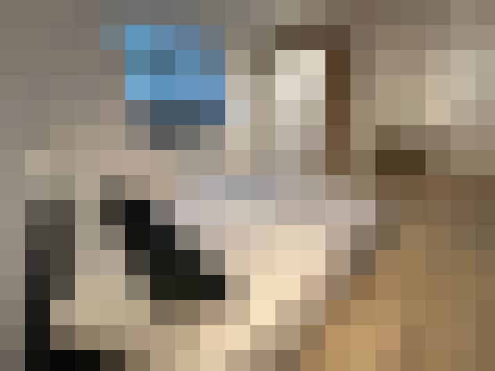  / #17