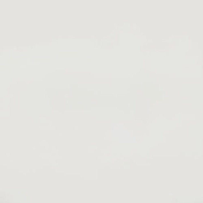 Bekijk foto 1/1 van house in Baarle-Nassau