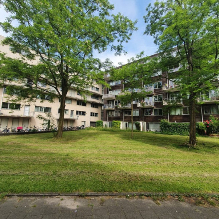 View photo 1/1 of apartment in Amsterdam