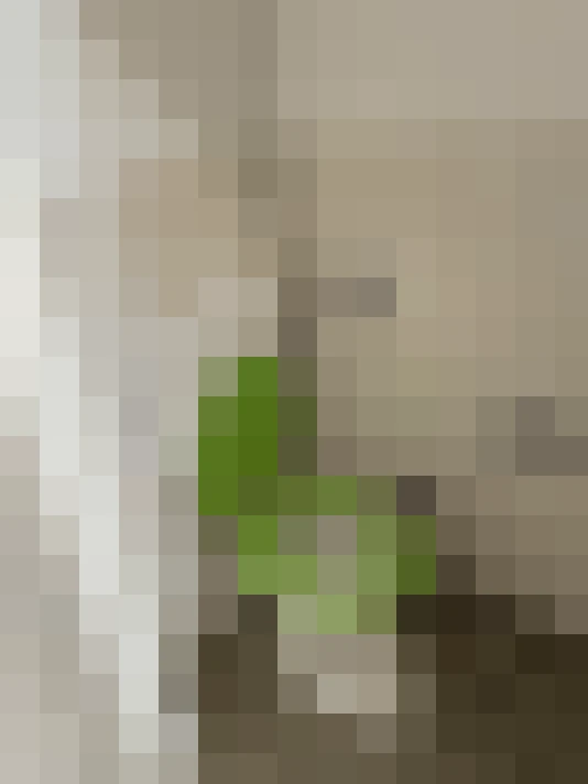  / #11