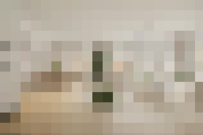  / #24