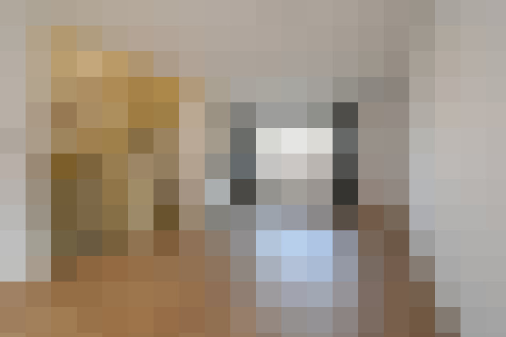  / #17