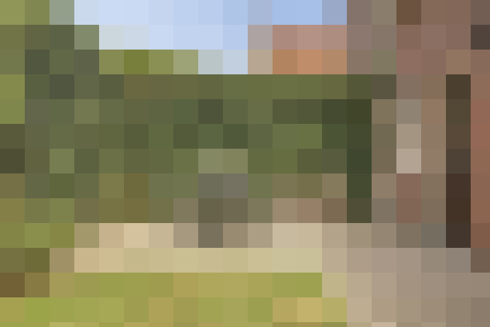  / #81