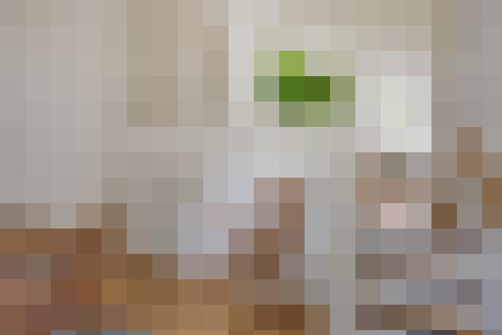  / #52