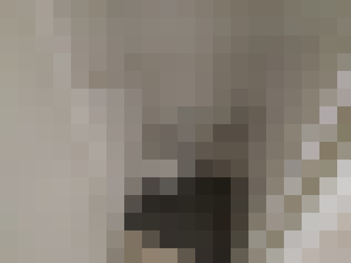  / #33