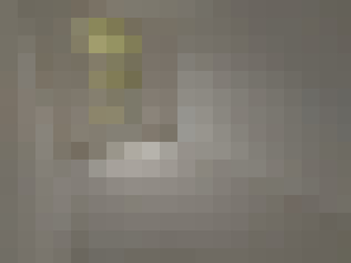  / #19
