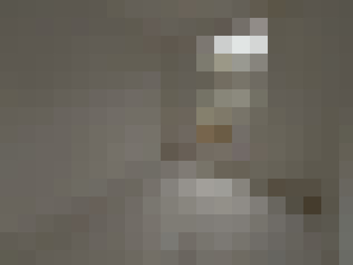  / #23
