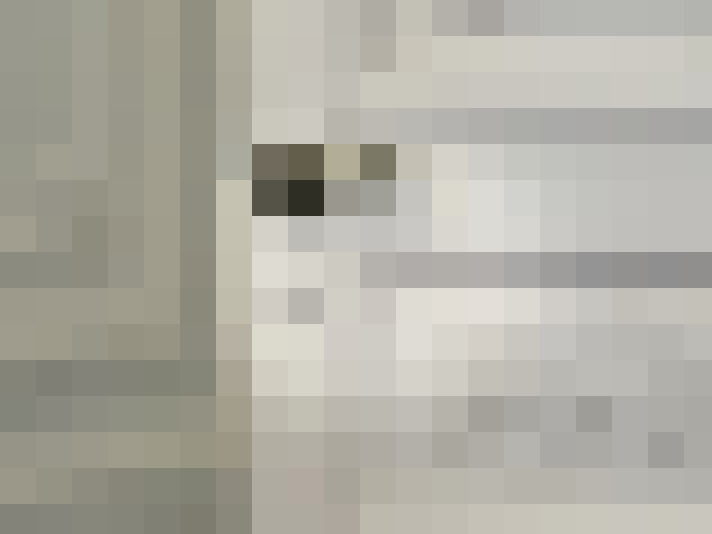  / #77