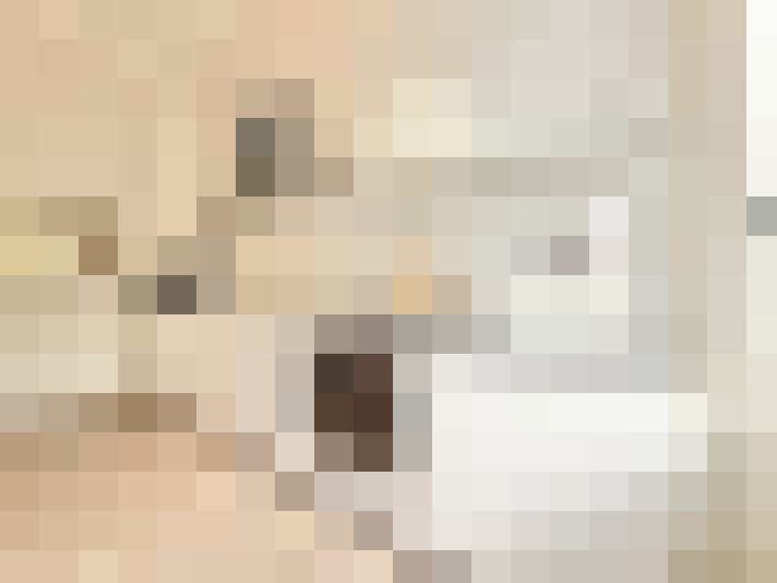  / #17