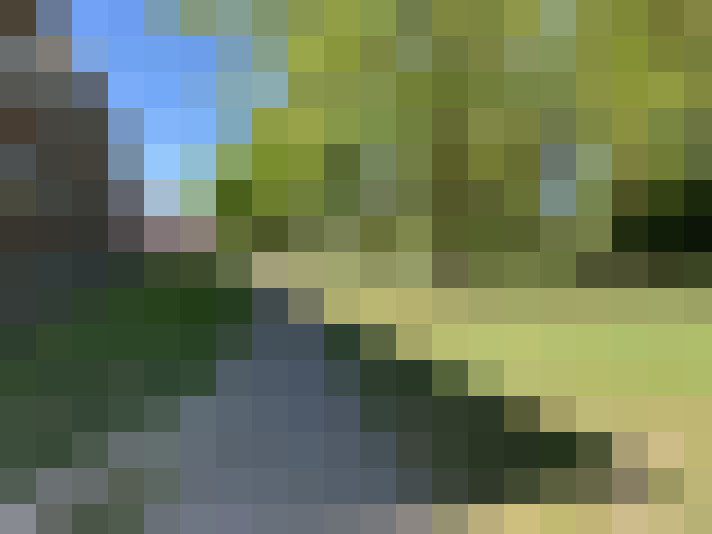  / #17