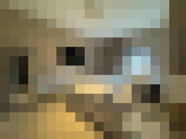  / #14