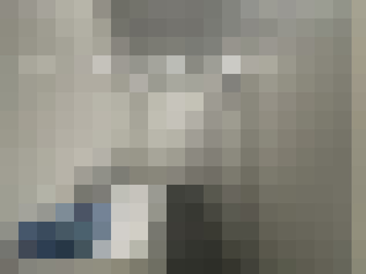  / #19