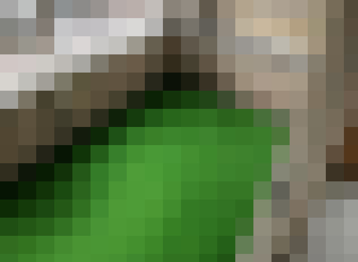  / #8