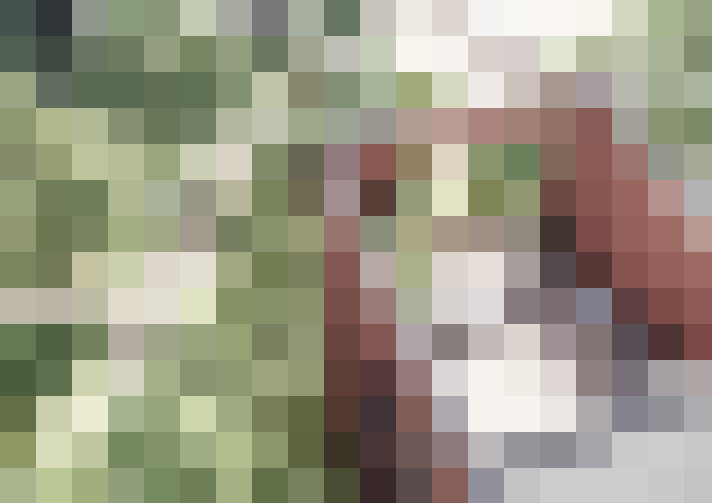  / #16