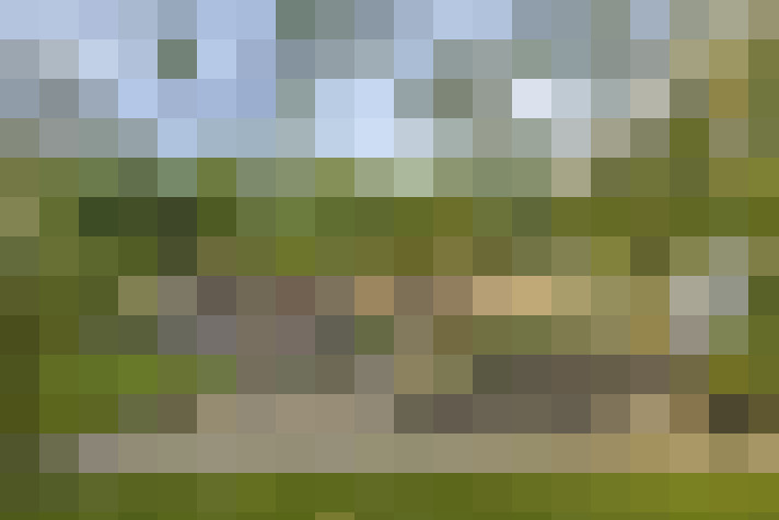  / #133