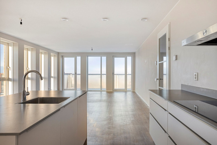 Bekijk foto 1/4 van house in Leiden