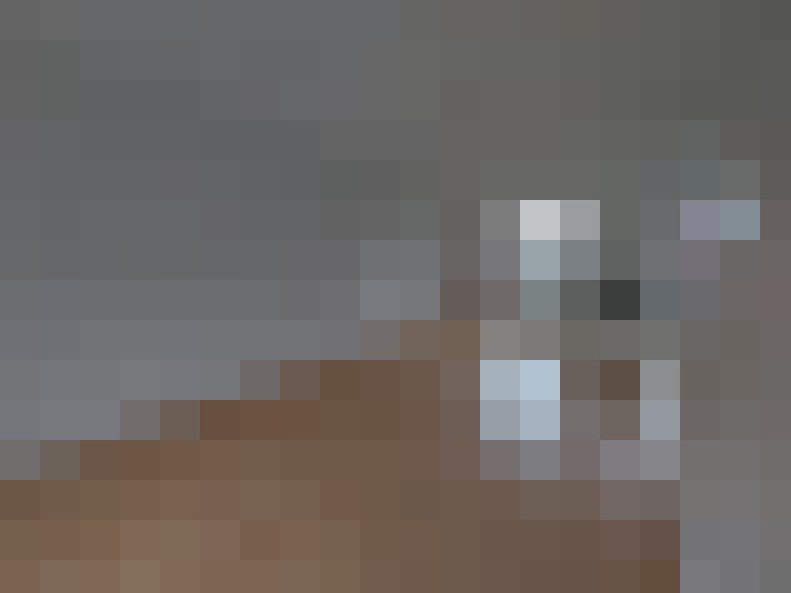  / #11
