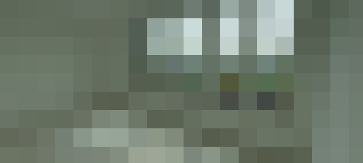  / #31
