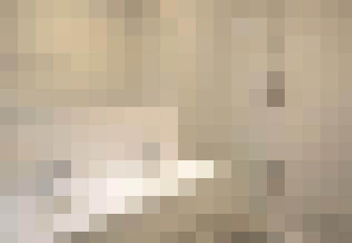  / #33