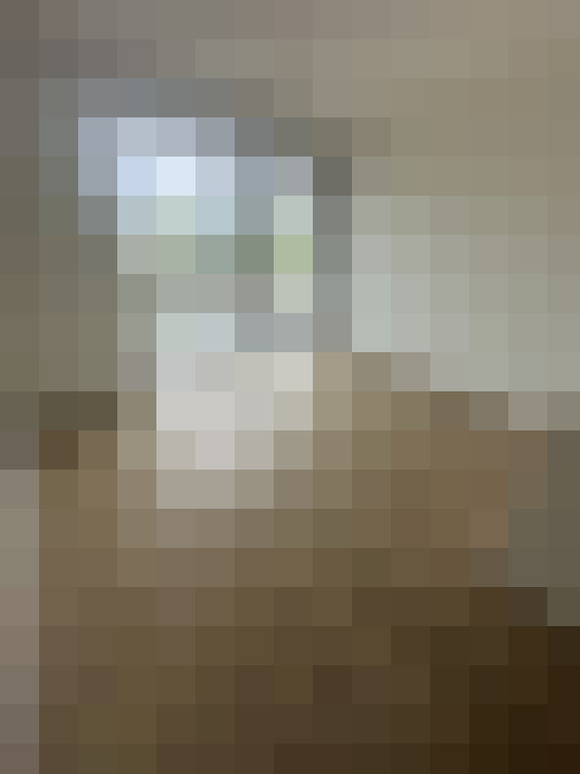 / #29