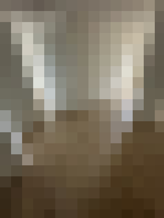  / #19