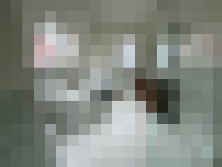  / #28
