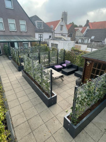 Apartment in Zaltbommel