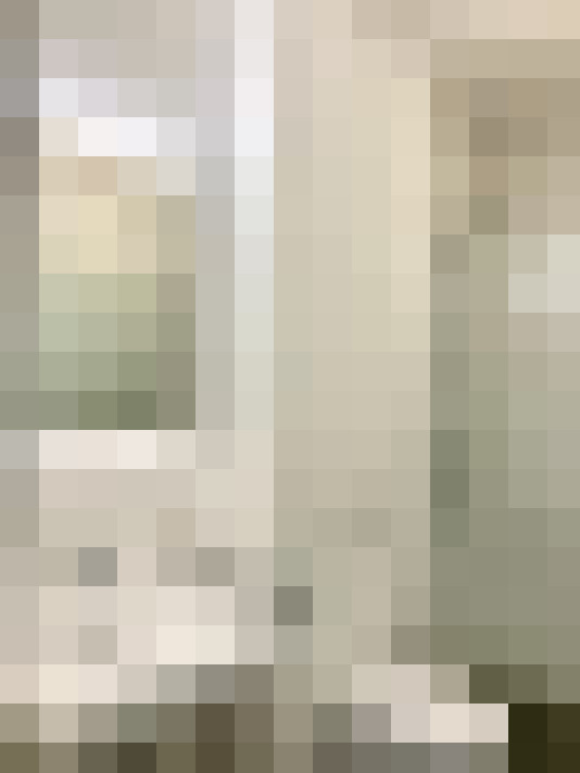  / #19