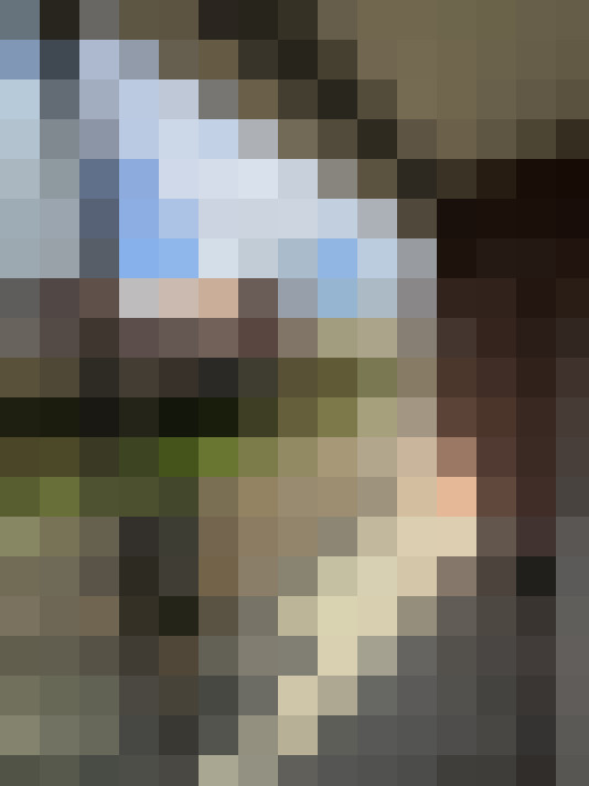  / #15