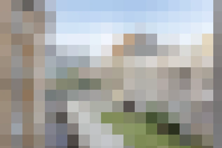  / #31