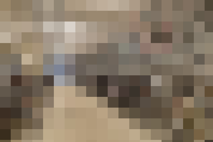  / #23